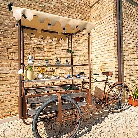 Dimora Rosso Piceno Bed and Breakfast